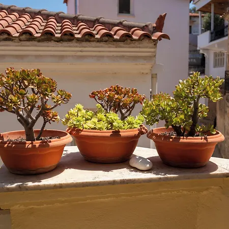 Aktaion 3* Гитион